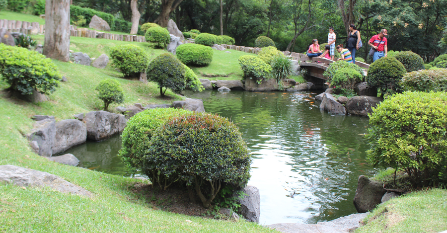 jardin japones - colomo zapopan